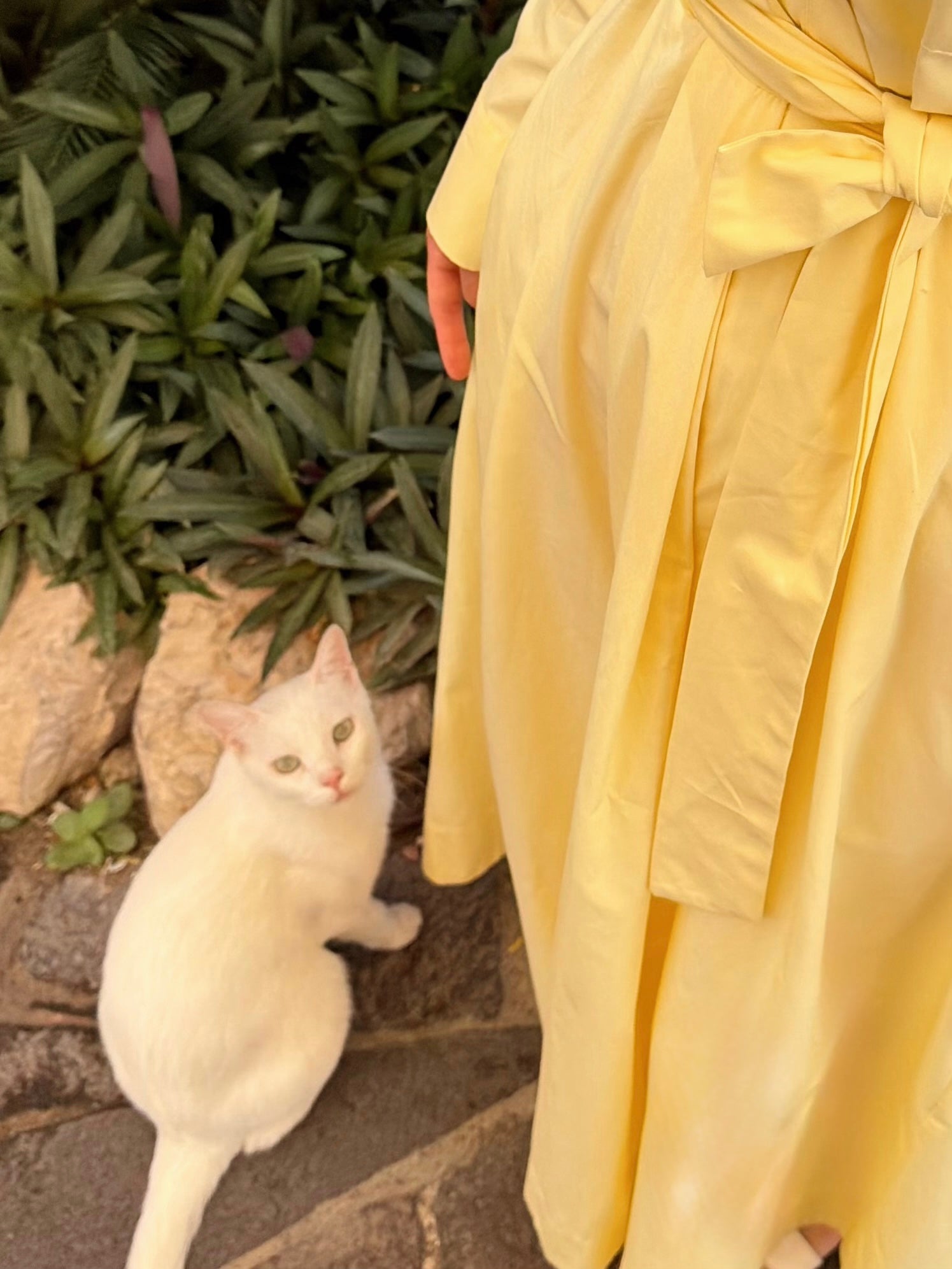 Soft Cotton Kuşaklı Uzun Sarı Elbise